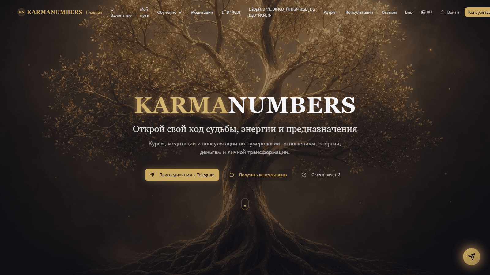KarmaNumbers — Platformă online & branding digital